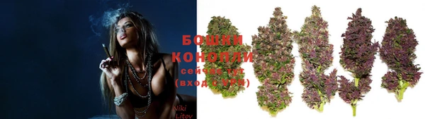 PSILOCYBIN Балабаново