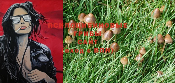 PSILOCYBIN Балабаново