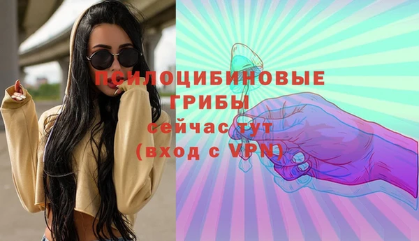 PSILOCYBIN Балабаново