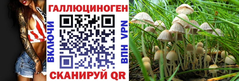 блэк спрут ONION  Ленинск-Кузнецкий  Псилоцибиновые грибы мухоморы 