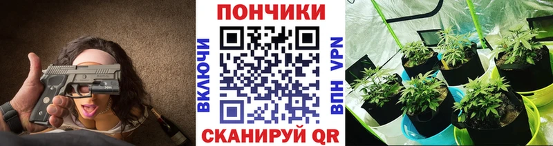 МАРИХУАНА ГИДРОПОН Ленинск-Кузнецкий